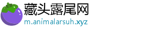 藏头露尾网